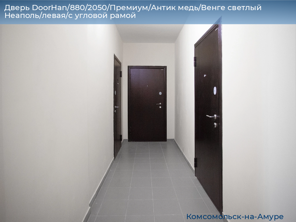 Дверь DoorHan/880/2050/Премиум/Антик медь/Венге светлый Неаполь/левая/с угловой рамой, komsomolsk-na-amure.doorhan.ru