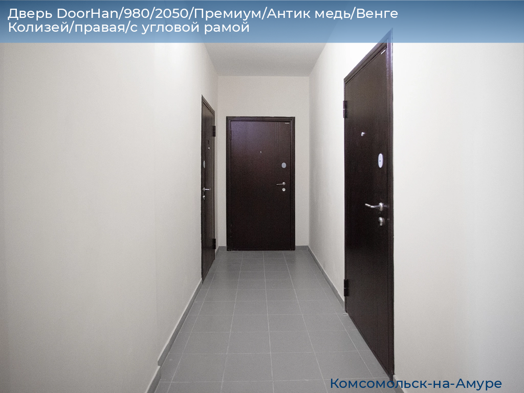 Дверь DoorHan/980/2050/Премиум/Антик медь/Венге Колизей/правая/с угловой рамой, komsomolsk-na-amure.doorhan.ru